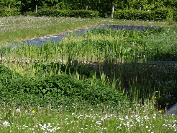 Des rizosphères châtillonnaises