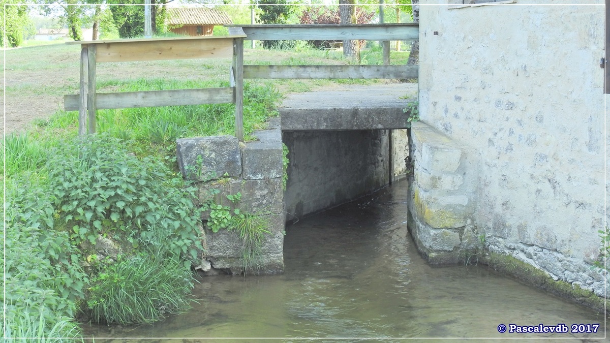 Printemps le long du canal latéral à la Garonne - Avril 2017 - 10/10
