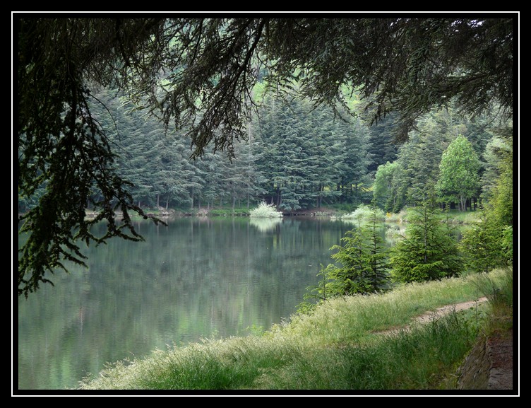 paysages d'Ardèche