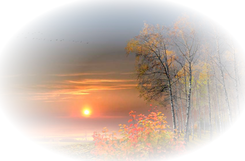 Paysage coucher de soleil / 4