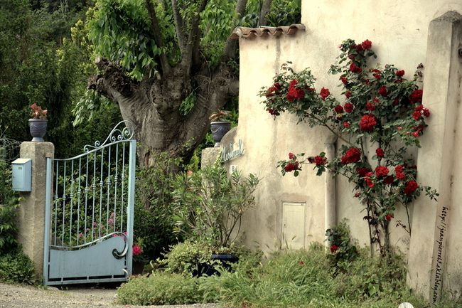 2015.05.15 Sauve, Oppidum de Lunel (département du Gard) 2