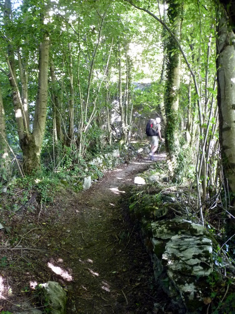 Montée en sous-bois