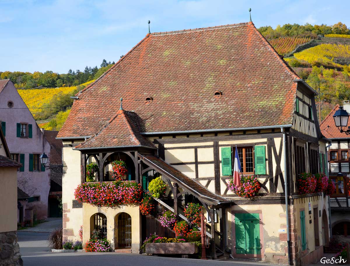 vignoble alsace automne haut rhin