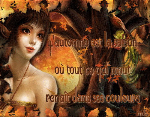 Créas Perso 2014