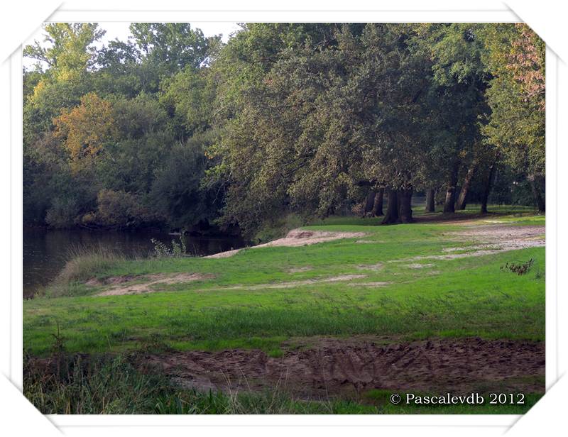 Promenade au bord de la Leyre à Mios - 9/10