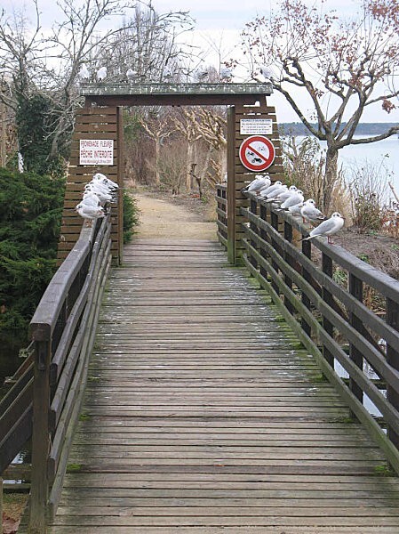 passerelle vers la promenade fleurie