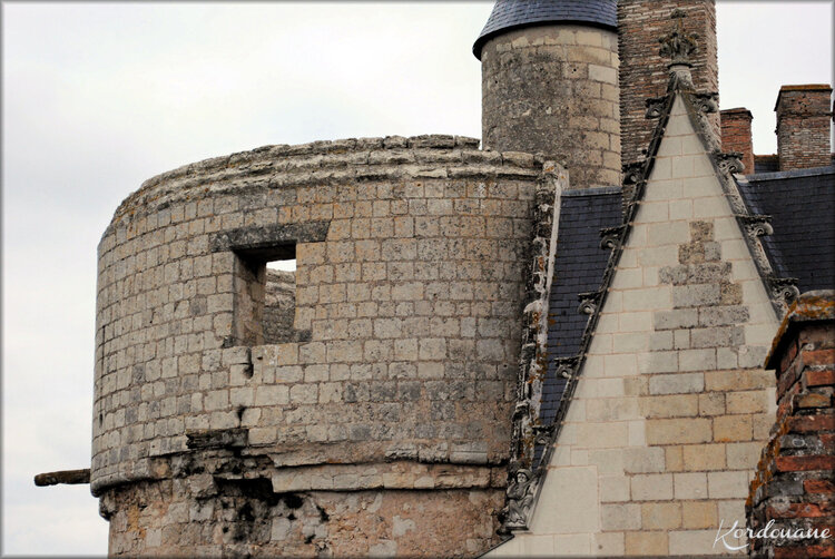 Photos des toits du château de Montreuil Bellay