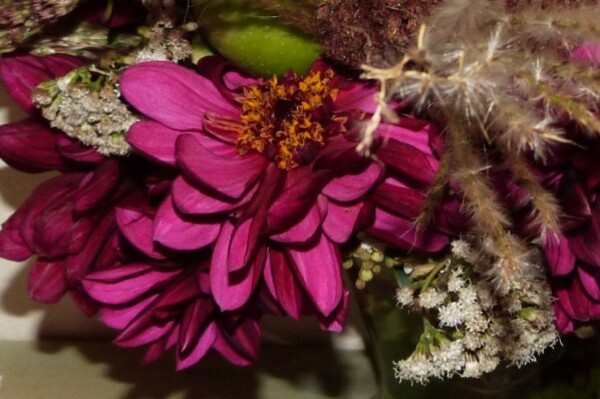 bouquet d'automne - 30 octobre 2013 - zoom sur le dahlia pu