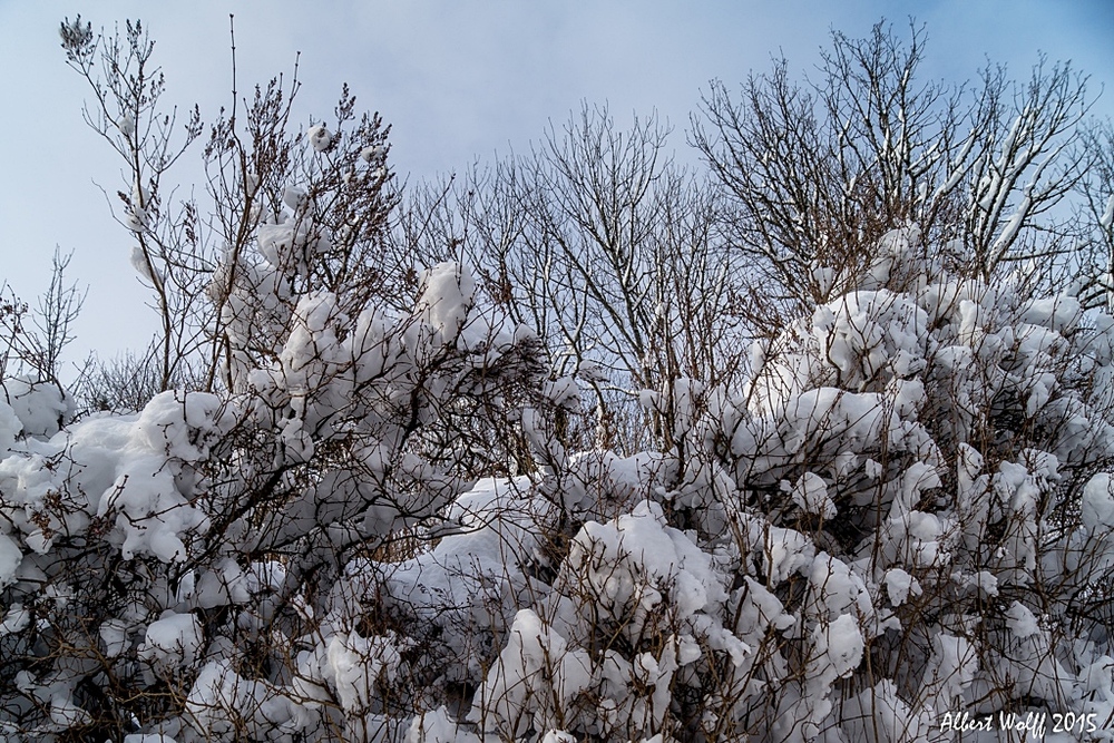 Ilay, un temps de neige et glace