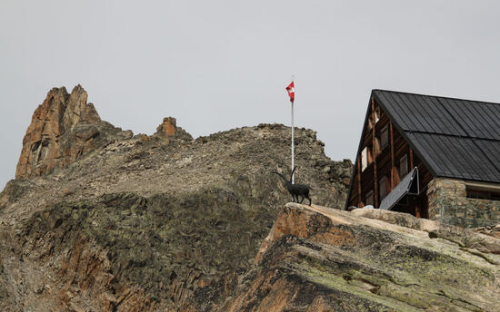 Vers la cabane d'Orny