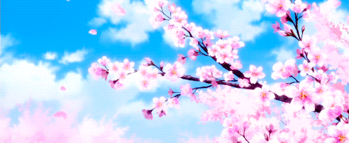 GIFs #1 (Spécial fleurs de cerisiers) - Manga Minute Otaku
