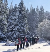 31 janvier 2023 - Le But de l'Aiglette et les Rochers de Chironne