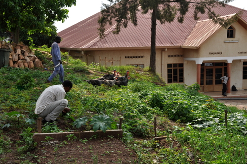 Le potager