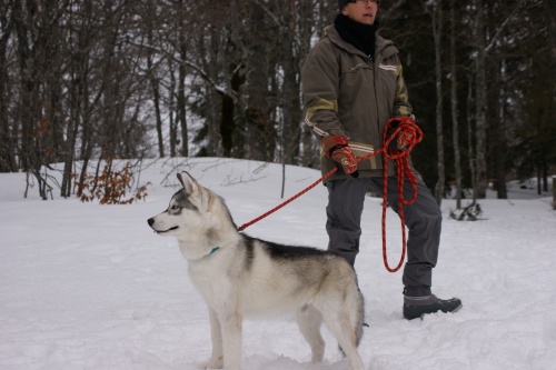 SORTIE DANS LE VERCORS (27/01/2013)