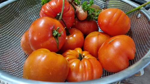 Les tomates de jardin