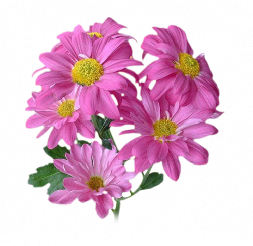 tubos de flores / ramos