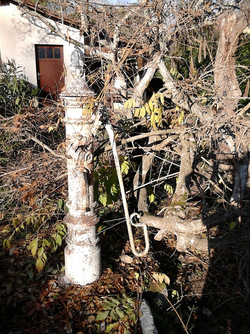 Le puits, sa pompe et la glycine