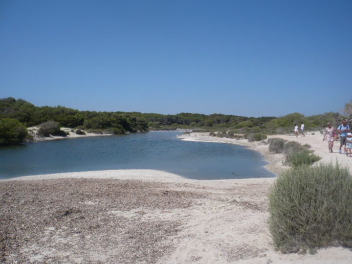 La plage d'es trenc un petit coin de paradis à Majorque 