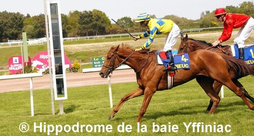 Hippodrome de la baie Yffiniac - C'était la fête ce 17 mai 2012