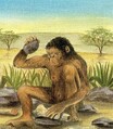 LA PREHISTOIRE - Les australopithèques