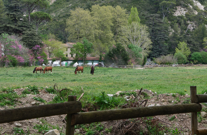 Balade dans le Parc de St Pons