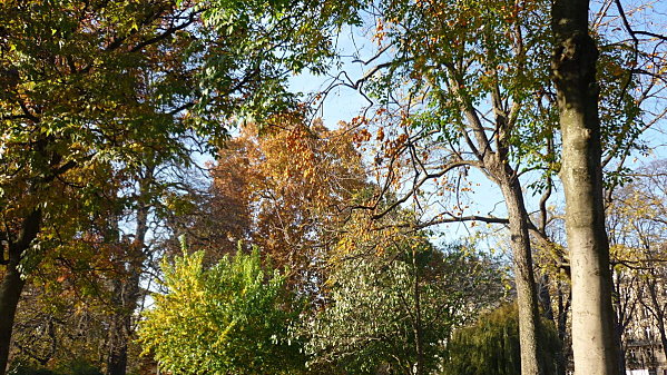 Lumieres-d-automne-sur-le-parc-Monceau-005.JPG