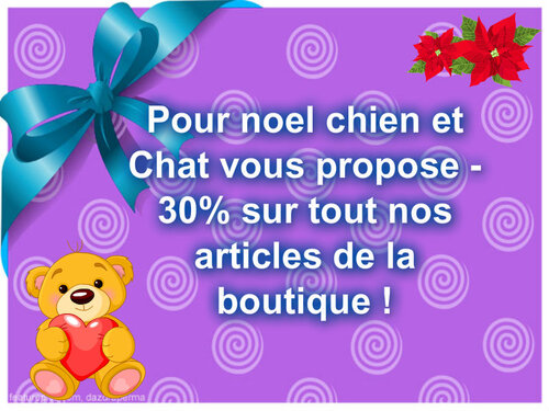 Noel chez chien et Chat !