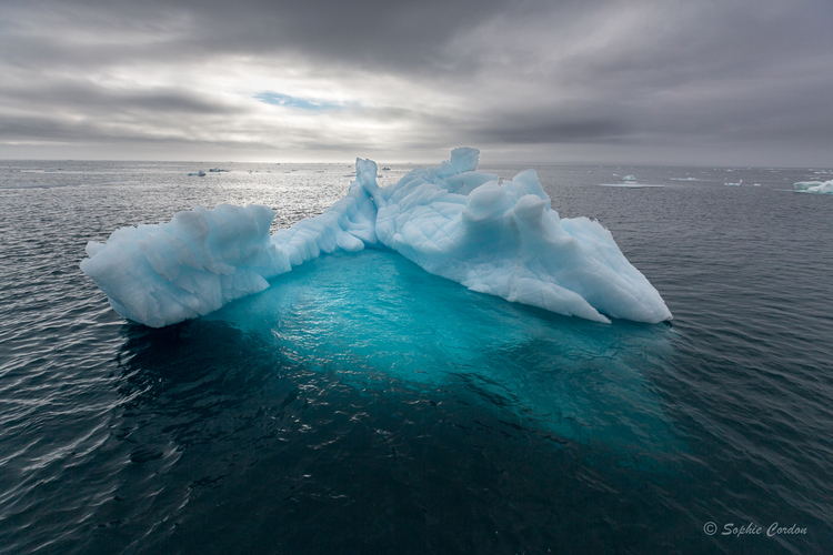 Un peu de glace