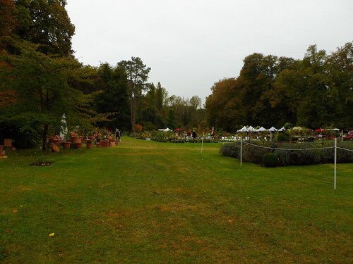 la fete des plantes de Borest