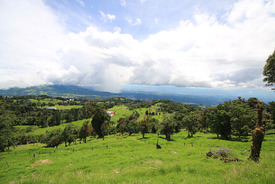 La côte pacifique