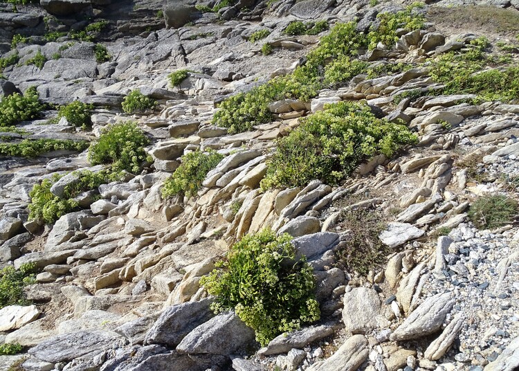 Escapade à Mousterlin (Finistère) - Les rochers de St Guénolé