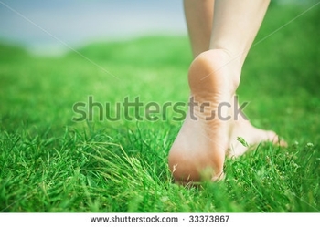 stock-photo-woman-legs-walking-on-green-grass-33373867