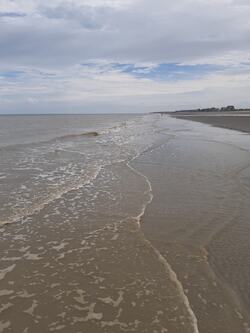 APRES LE JARDIN, LA MER !