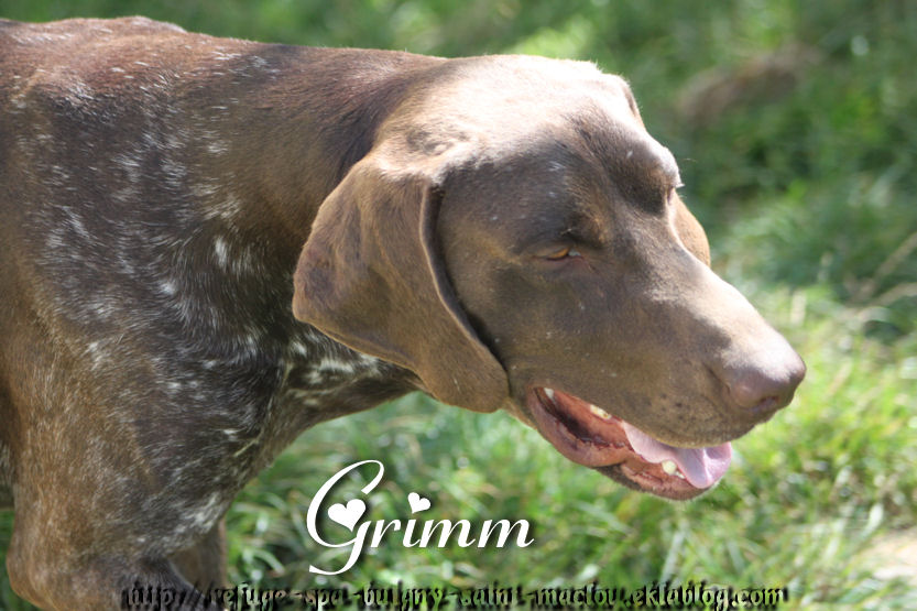 Grimm - Nouvelles photos