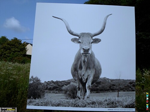 EXPOSITION PHOTO 2013 LA GACILLY 56 28/09/2013