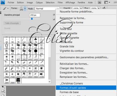 Installer des brushes 2