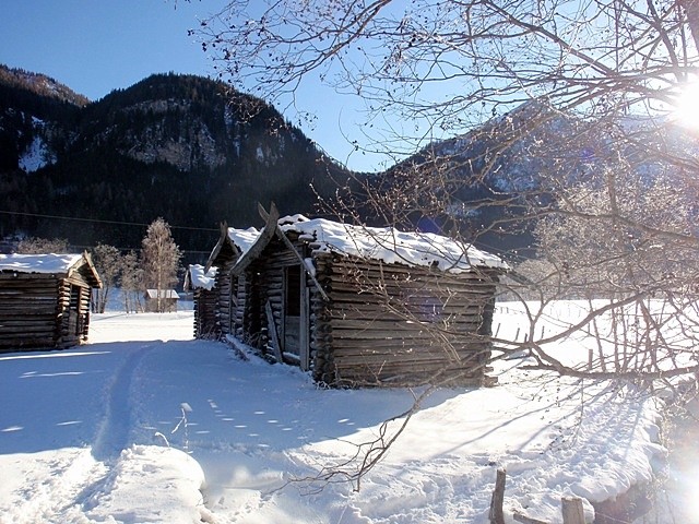 Cabanes-sous-la-neige-dans-la-vallee-de-Gschnitztal.JPG