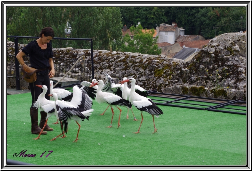 suite et fin du spectacle des géants du ciel à Chauvigny (86)