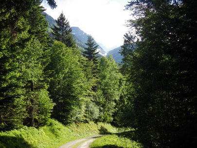 Topo Chalet de Fontaine Noire (1460m)