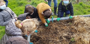 Les plantations de février