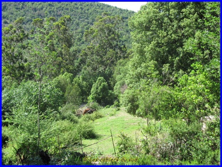 Balagne, le bocca de Eltru