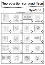 REPRODUCTION SUR QUADRILLAGE
