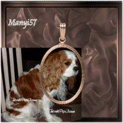 Animációs Medal