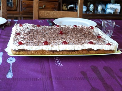 Blog de charlottopoire : Charlottopoire... mes petites créas..., Gateau du Danube