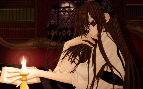 Vampire Knight gallerie