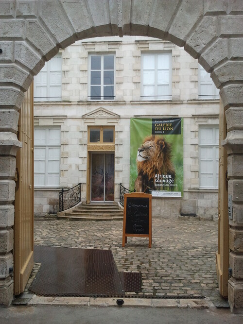 Visite de la Galerie du Lion 