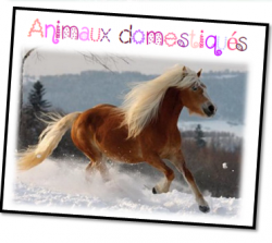 Jeux de français Cycle 2