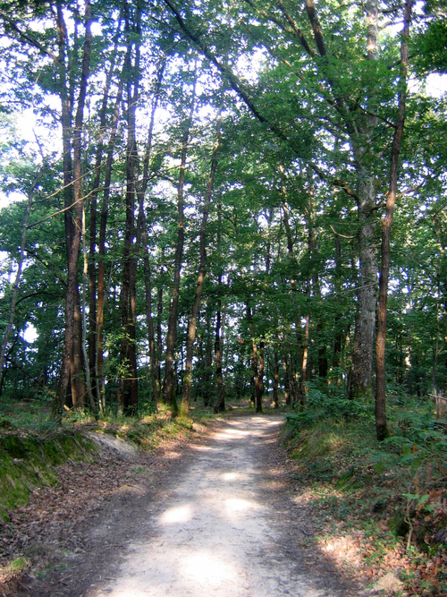 Chemin d'Arles 2008 - Giscaro (31km)