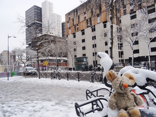 Une bien grosse couçe de neize à Paris!