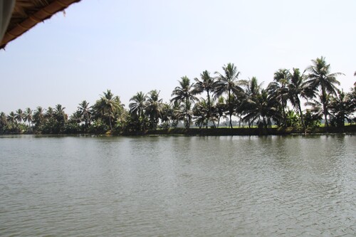 Sur les backwaters du Kérala.